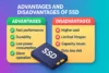 SSD Benefits and Drawbacks | A Simple Guide for Beginners - Post Thumbnail