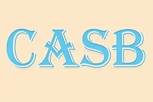 What Is a CASB? Examples, Purpose and its Works