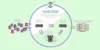 Cloudflare SD-WAN | Fast, Reliable, and Secure Networking - Post Thumbnail