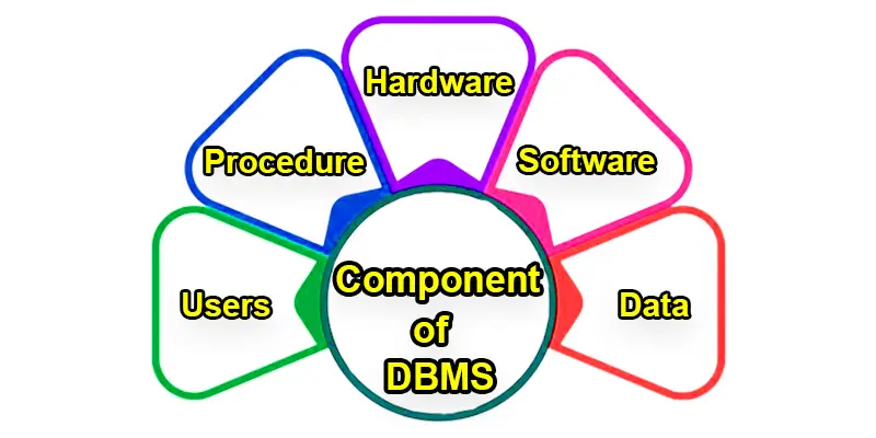 Components of DBMS