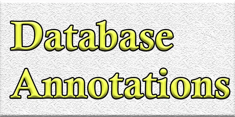 Data Annotations | What is, Example, Types, Best Practices, Benefits, Challenges, and More. 