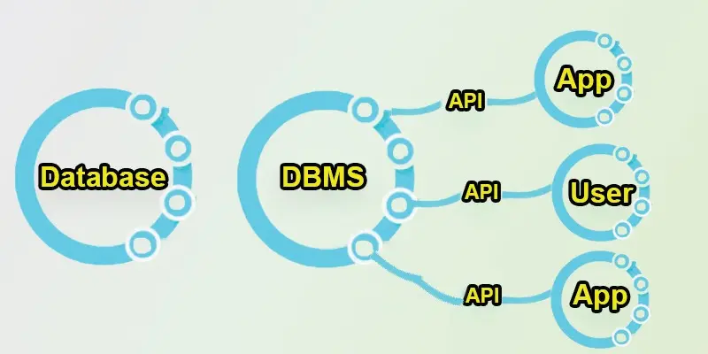 What is Database Management System – Definition, Examples, History, Languages