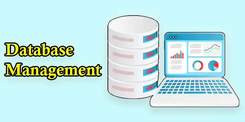 database management