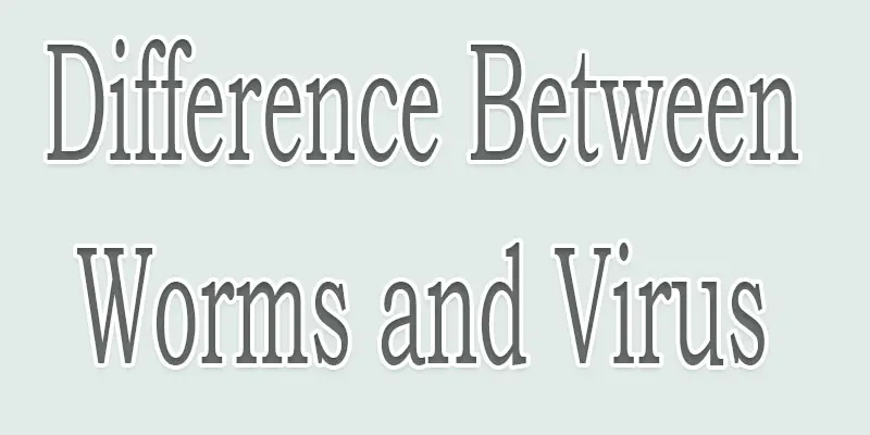 difference between worms and virus
