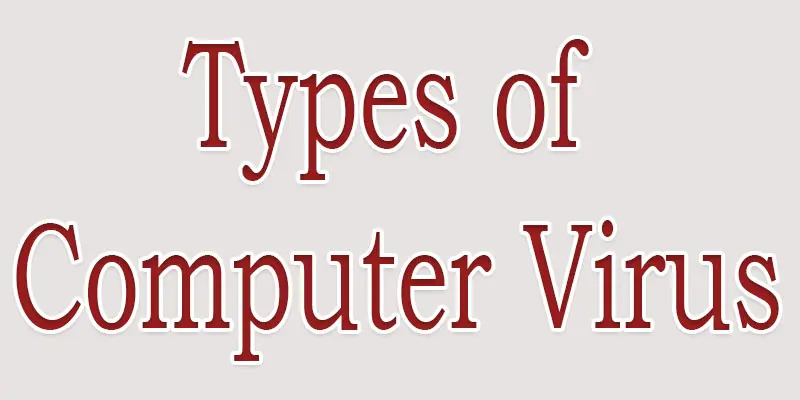 different types of computer virus