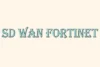 SD WAN Fortinet | The Ultimate Secure and Smart Networking Solution - Post Thumbnail