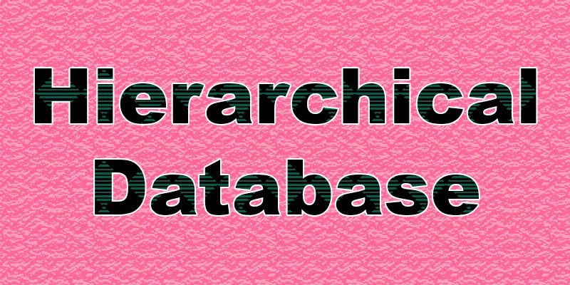 A Complete Overview of the Hierarchical Database Model