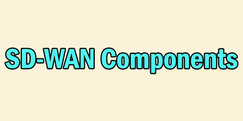 SD-WAN Components | Essential Elements for Network Optimization