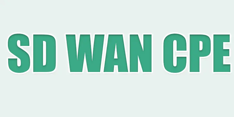 sd wan cpe