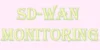 Avoid Downtime | The Power of SD-WAN Monitoring - Post Thumbnail