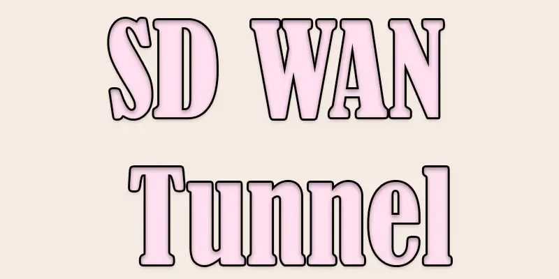 sd-wan tunnel