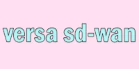 SD-WAN Versa | The Smart Solution for Secure and Fast Networking