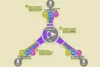 SD-WAN Peplink | The Best Solution for Fast and Secure Networks - Post Thumbnail