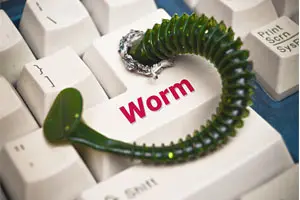 Worm in Computer | Simple Steps to Stay Safe Online